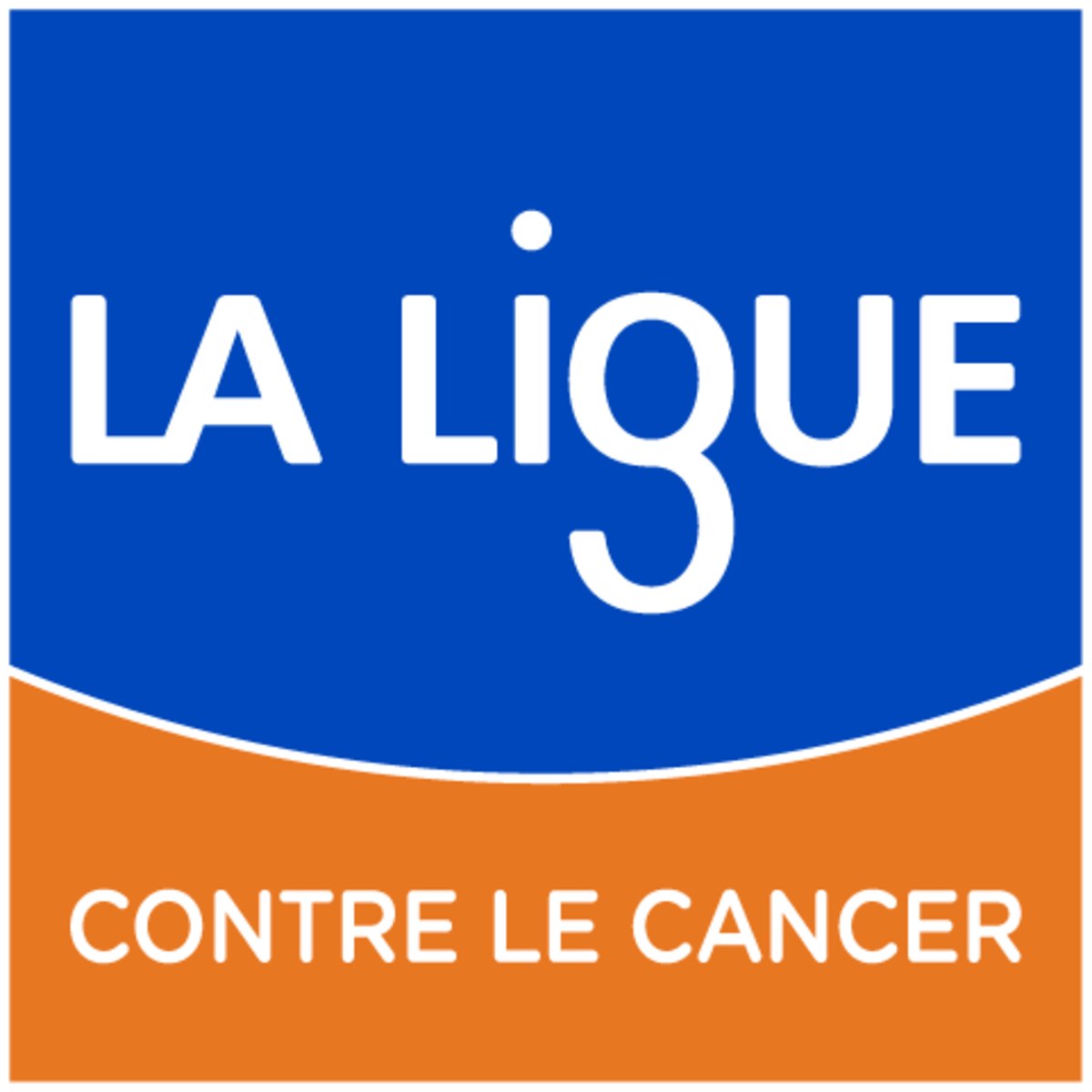 LA-LIGUE_LOGO